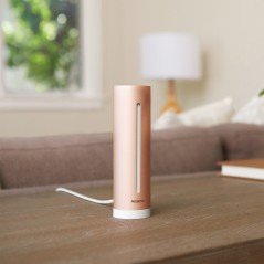 Netatmo Healthy Home Coach Indoor Climate Monitor - Stylish Rose Gold Design for Optimal Living Conditions (3700730501767)